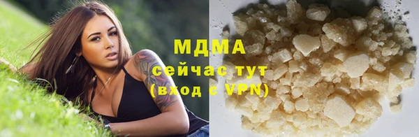 ПСИЛОЦИБИНОВЫЕ ГРИБЫ Гусев