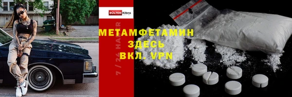 ПСИЛОЦИБИНОВЫЕ ГРИБЫ Гусев