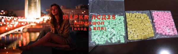ПСИЛОЦИБИНОВЫЕ ГРИБЫ Гусев