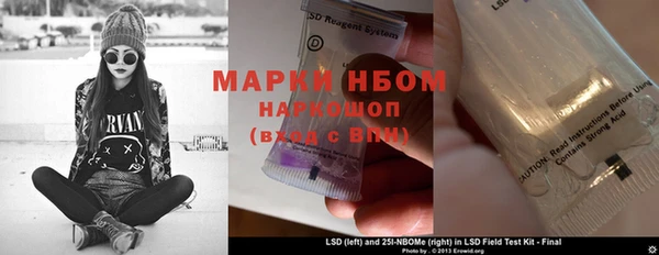 ПСИЛОЦИБИНОВЫЕ ГРИБЫ Гусев