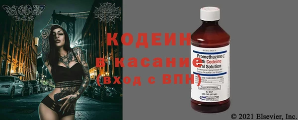 ПСИЛОЦИБИНОВЫЕ ГРИБЫ Гусев