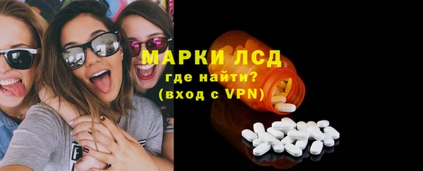 ПСИЛОЦИБИНОВЫЕ ГРИБЫ Гусев