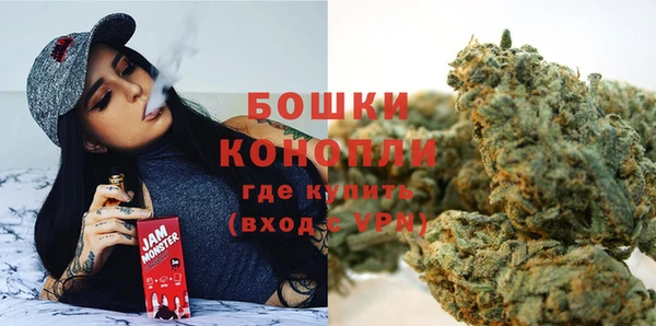 ПСИЛОЦИБИНОВЫЕ ГРИБЫ Гусев