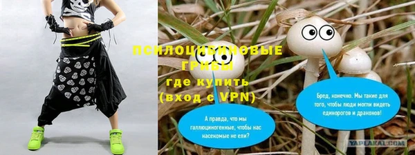 ПСИЛОЦИБИНОВЫЕ ГРИБЫ Гусев