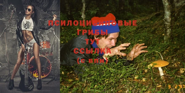 соль курить ск Гусиноозёрск