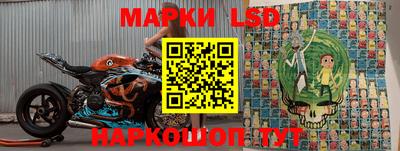 индика Аргун