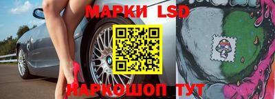 индика Аргун