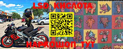 индика Аргун