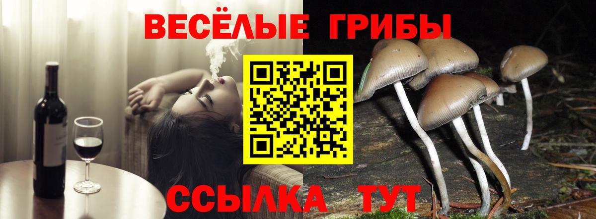 Псилоцибиновые грибы Psilocybine cubensis  Вход с VPN  Моршанск 