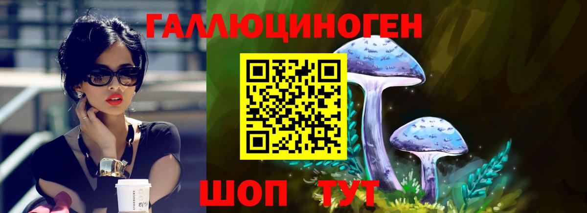 Галлюциногенные грибы мицелий  Моршанск  Псилоцибиновые грибы MAGIC MUSHROOMS 